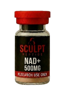 NAD 500 NAD 500